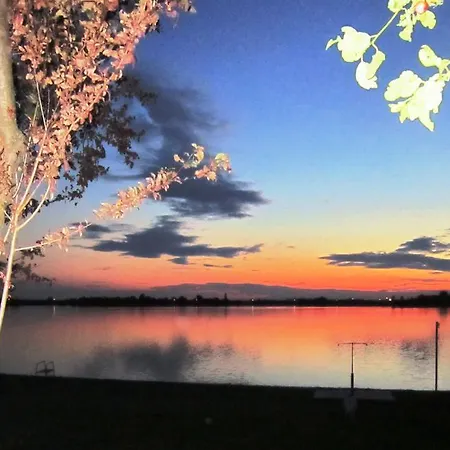 Pejkom Palic
